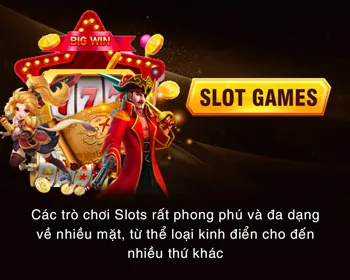 Chính sách bảo mật vip 58